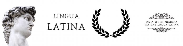 Проведение конкурса проектов на тему:  «Inviaestin medicina sine linqua Latina»
