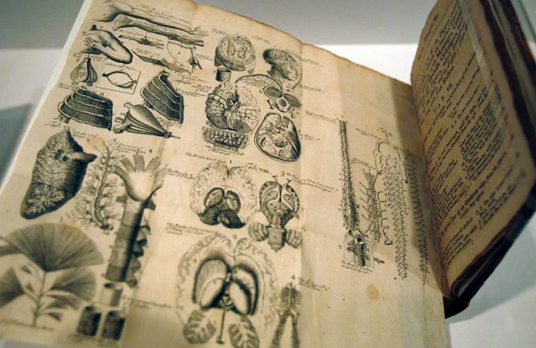 Отчет о проведении научного семинара  «История развития письменного научного медицинского текста» на кафедре иностранных языков №4  Института филологии 13 мая 2022 года